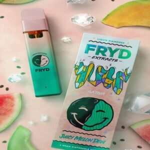 Juicy Melon Dew Fryd Disposable