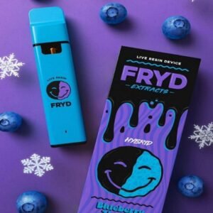 Blueberry Zlushie Fryd Disposable